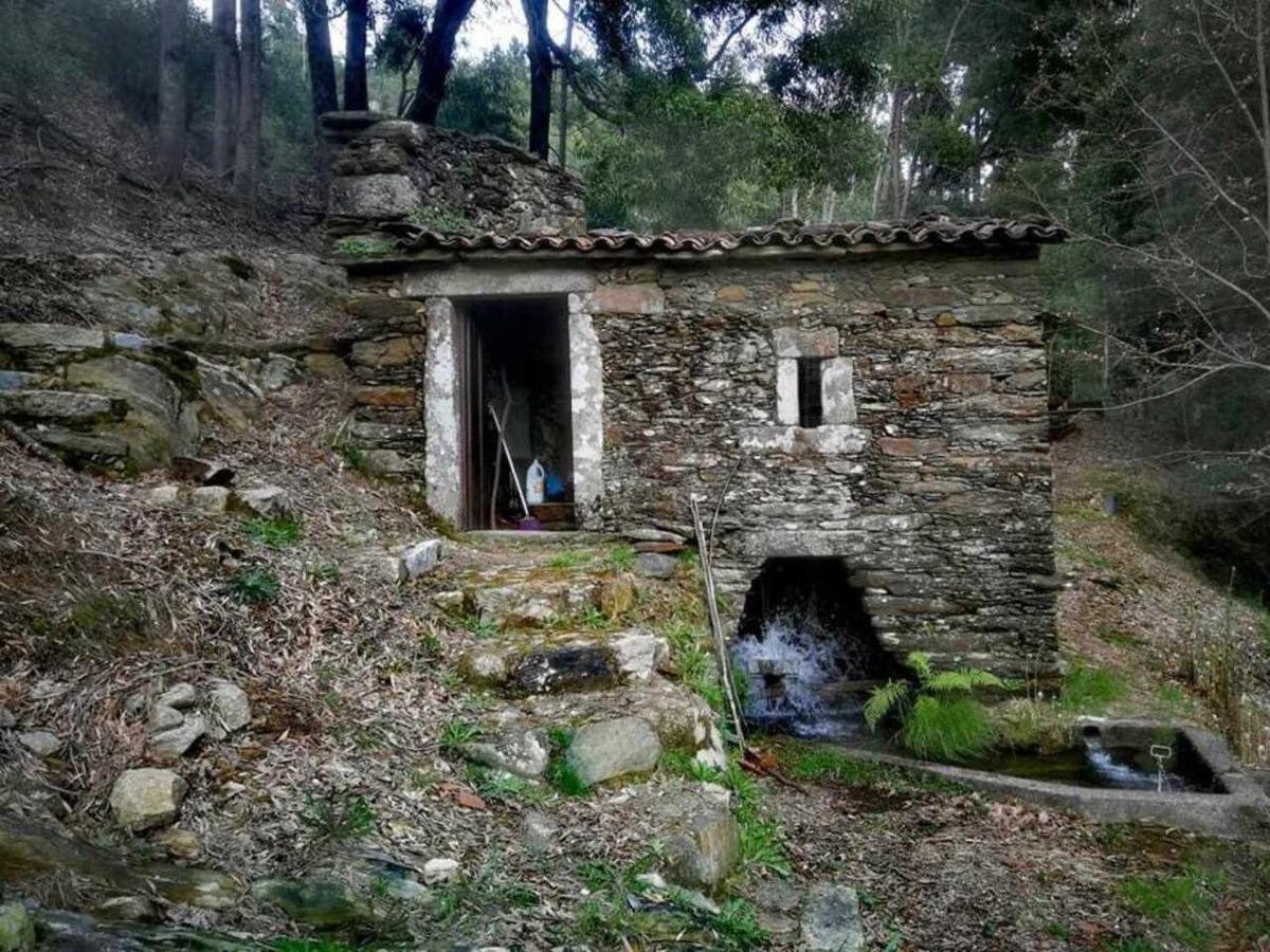 Viana Do Castelo - Amonde Village Casa P - Conforto Qualidade Natureza Esterno foto